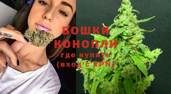 мяу мяу мука Волоколамск