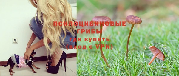 мяу мяу мука Волоколамск