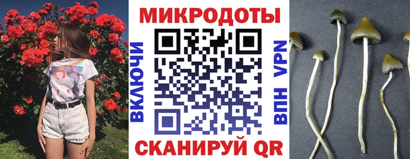 Псилоцибиновые грибы GOLDEN TEACHER  Канск 